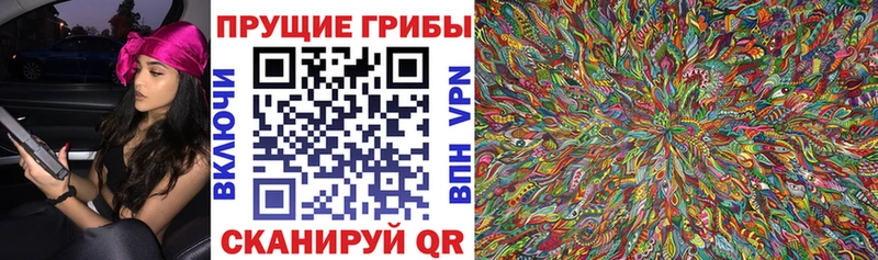 Псилоцибиновые грибы прущие грибы  Купить  Новоузенск 